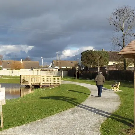 Les Oiseaux * Le Tréport