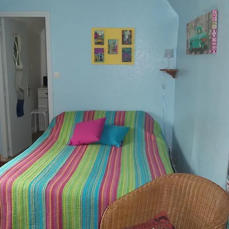 Les Oiseaux Le Tréport